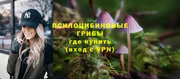 мдпв Шарыпово