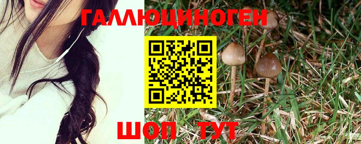Галлюциногенные грибы мицелий  Вход с VPN  Псилоцибиновые грибы GOLDEN TEACHER  Котлас 
